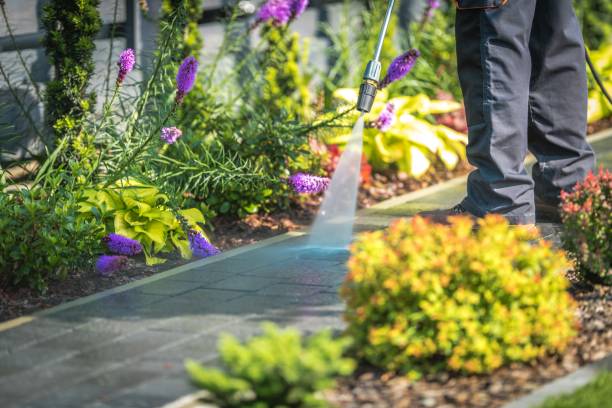 Best Restaurant Pressure Washing  in Locust Fork, AL